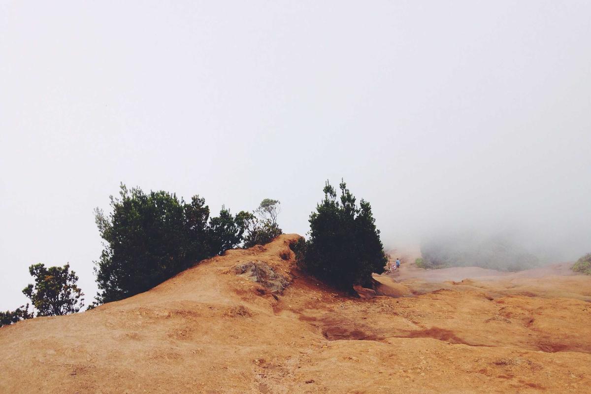 유럽 시장 수출형 친환경 스트로우지